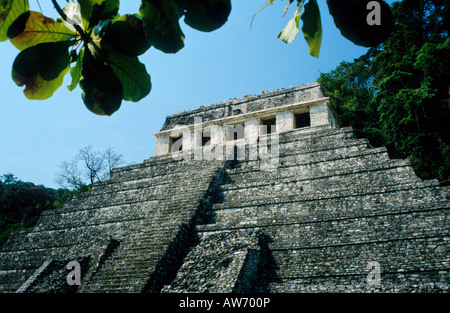 Tempio di iscrizioni, Palenque, Chiapas, Messico Foto Stock