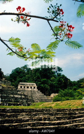 Tempio di iscrizioni, Palenque, Chiapas, Messico Foto Stock