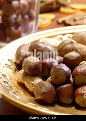 Nocciola (Corylus maxima) Foto Stock