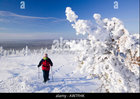 Una donna snow shoeing in Urho Kehkkosen Parco Nazionale vicino a Saariselka il nord della Finlandia Foto Stock