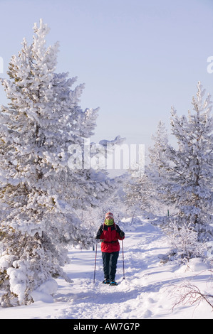 Una donna snow shoeing in Urho Kehkkosen Parco Nazionale vicino a Saariselka il nord della Finlandia Foto Stock