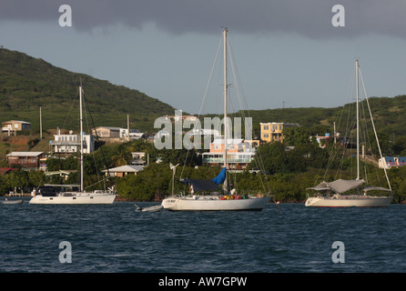 Barche a vela porto culebra puerto rico Foto Stock