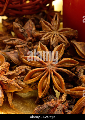 Cinese di anice stellato (Illicium verum) Foto Stock