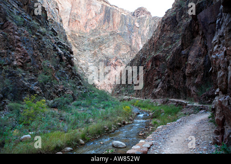 NORTH KAIBAB trail e il Bright Angel Creek nella gola interna noto come casella di sopra PHANTOM RANCH NEL PARCO NAZIONALE DEL GRAND CANYON Foto Stock