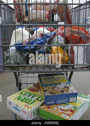 Sacchetti di carta marrone pieni di generi alimentari in un carrello per la spesa, cibo fuori di fronte al supermercato con scatole di cereali negli Stati Uniti ad alta risoluzione Foto Stock