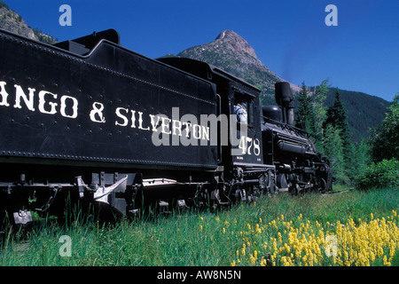 Durango & Silverton Narrow Gauge locomotore in Elk Park, Colorado. Foto Stock