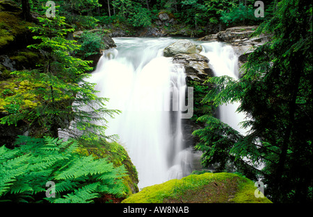 Nooksack Falls Mount Baker Snoqualmie Foresta Nazionale di Washington Foto Stock