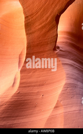 Delicato slickrock formazioni in Medio Antelope Canyon Indiano Navajo Arizona Prenotazione Foto Stock