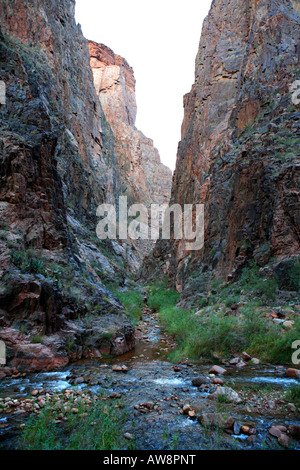 La confluenza di Bright Angel e insenature fantasma da NORTH KAIBAB TRAIL nella gola interna noto come casella di sopra PHANTOM RANCH IN G Foto Stock