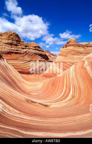 Moto vorticoso formazione di arenaria noto come l'onda Coyote Buttes Paria Canyon Vermiglio scogliere deserto Arizona Foto Stock