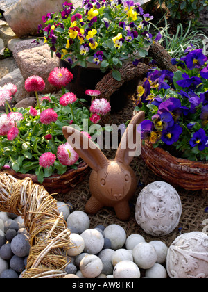 Pansies cornuta (viola cornuta) e comuni daisy (bellis perennis) con il coniglietto di pasqua Foto Stock