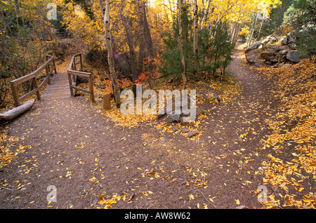 Autunno a colori della giunzione della Mosca Pass Trail e il Montville Nature Trail Grande dune sabbiose del Parco Nazionale di Colorado Foto Stock