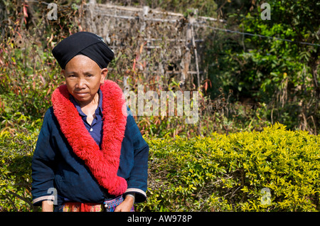 Iu Mien, chiamato anche Yao hill tribe donna nel nord della Thailandia Foto Stock