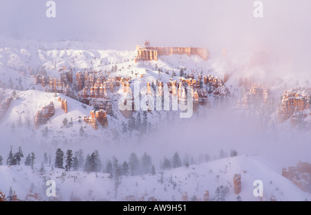 La luce del pomeriggio sulle formazioni rocciose nella nebbia al di sotto del punto di Bryce Bryce Canyon National Park nello Utah Foto Stock