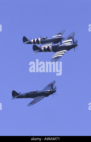 Il Supermarine Spitfire PRXI PRXIX & Formazione Foto Stock