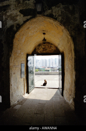 Dog sat nel gateway entrata a Monte museo, Old Fort, Macao. Foto Stock