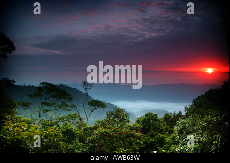 Paesaggio di Panama con l'alba vista da Cerro Pirre nella lussureggiante foresta pluviale del parco nazionale di Darien, Darien Gap, provincia di Darien, Repubblica di Panama. Foto Stock