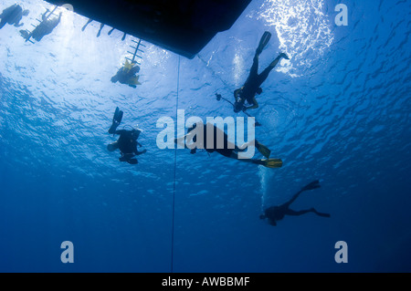 I subacquei in attesa di superficie al di sotto di una barca di crociere in Mar Rosso, Egitto. Foto Stock