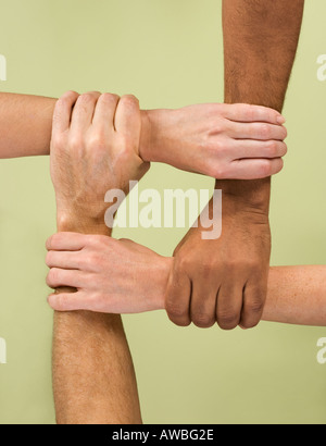 Mani tenendo le braccia in gruppo multirazziale Foto Stock