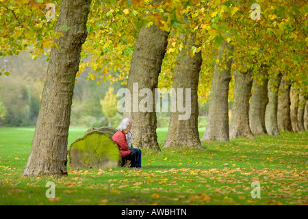 Anziani pensionati giovane seduto su una panchina di log in una fila di alberi autunnali. Foto Stock