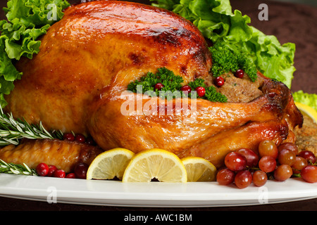 Il tacchino ripieno arrosto con verdure su un piatto la cena di Natale immagini foto foto grande alta risoluzione negli Stati Uniti ad alta risoluzione orizzontale Foto Stock