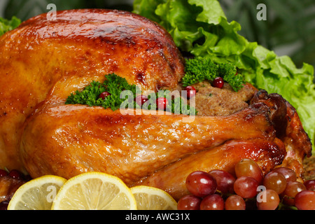 La cena di Natale con verdure ripiene di tacchino arrosto immagini foto foto grande ad alta risoluzione orizzontale negli Stati Uniti ad alta risoluzione Foto Stock