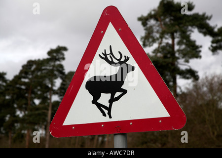 Un triangolo rosso cartello stradale di avvertimento del cervo Foto Stock