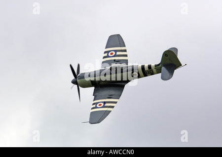 Coreano veterano di guerra la Hawker Sea Fury Foto Stock