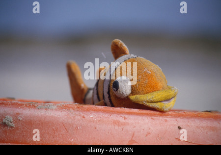 Jetsam, Amrum Island, a nord delle Isole Frisone, Schleswig-Holstein, Germania, Europa Foto Stock