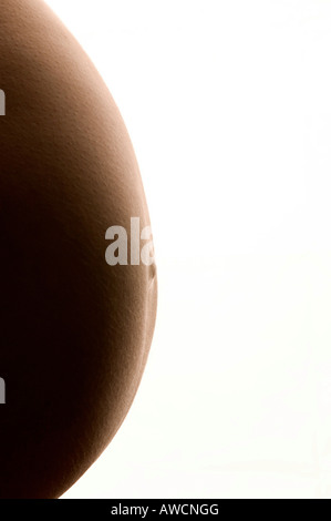 Una donna incinta del ventre Foto Stock