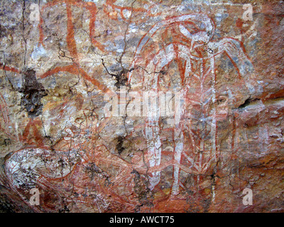 Aboriginal pitture rupestri, parco nazionale Kakadu Foto Stock