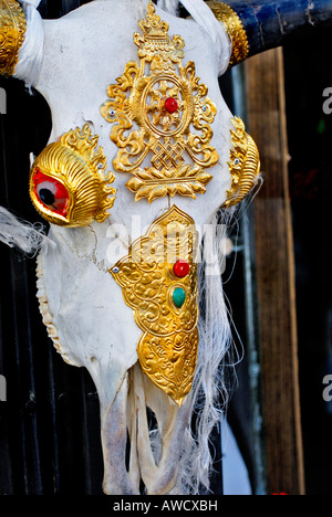 Golden ornati Yak cranio, Lhasa, in Tibet Foto Stock