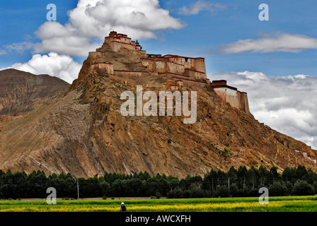 Fortezza Dzong, Gyantse, Tibet Foto Stock