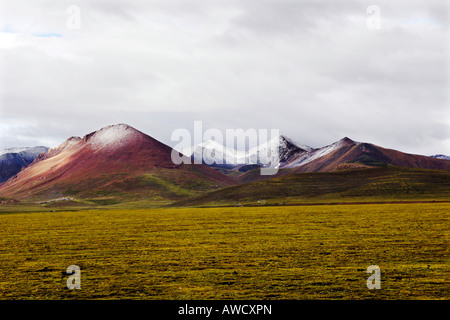 Paesaggio vicino Nam Tso lake, Tibet Foto Stock