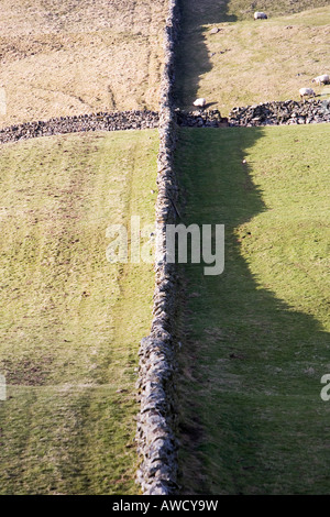 Modello a croce di pietra a secco attraverso parete farmland in Winton cadde, Yorkshire moor e pennini confine. Cumbria. Regno Unito Foto Stock