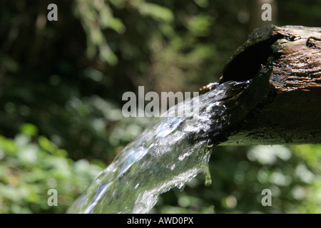 L'acqua da un pozzo Foto Stock