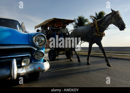 La carta blu American vintage guida auto accanto a un cavallo-e-buggy, Cienfuegos, Cuba, Americhe Foto Stock