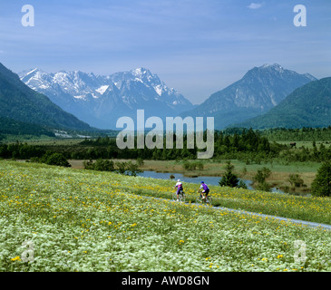 I ciclisti in field lane, prato di fiori in primavera, il paesaggio di montagna vicino a Eschenlohe, Alta Baviera, Baviera, Germania, Europa Foto Stock