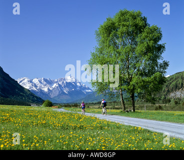 I ciclisti in field lane, prato di fiori in primavera, il paesaggio di montagna vicino a Eschenlohe, Alta Baviera, Baviera, Germania, Europa Foto Stock