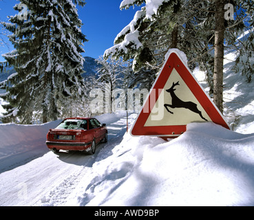 Segnale di avvertimento per cervi pass, paese nevoso strada in inverno Foto Stock