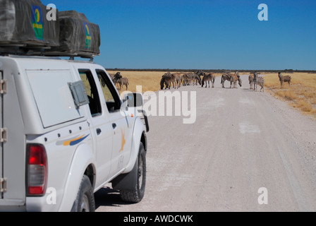 I turisti osservando le zebre (Equus), il Parco Nazionale di Etosha, Namibia, Africa Foto Stock