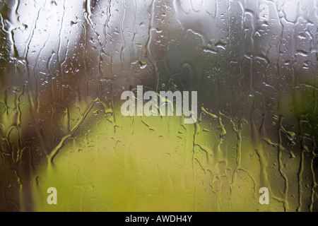 Vista attraverso il vetro con gocce di pioggia di acqua sul riquadro esterno durante il cattivo tempo umido. Regno Unito Gran Bretagna Foto Stock