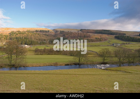 Immagine di panorama del fiume Wharfe nel Yorkshire Dales in una bella giornata con una certa foresta sulle colline dietro Foto Stock