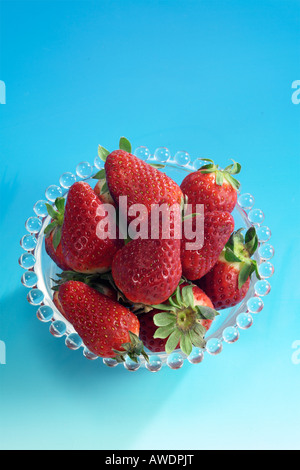 Le fragole isolato su sfondo blu Foto Stock