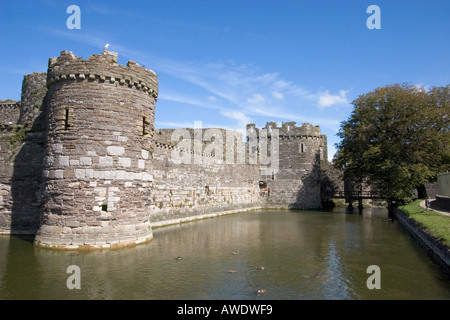 A sud ovest della cortina esterna parete e fossato Beaumaris Castle Anglesey North Wales Foto Stock