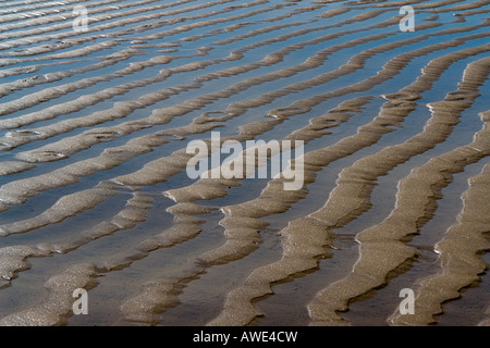 Modelli su spiagge di Lacanau Ocean, Francia, Europa Foto Stock