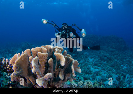 Fotografo James Watt linee fino su una scogliera con la sua macchina fotografica in un alloggiamento subacqueo con Ikelite, Costa di Kona, Hawaii. Foto Stock