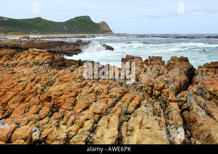 Paesaggi costieri presso il Capo di Buona Speranza La Riserva Naturale di Cape Point Sud Africa Foto Stock