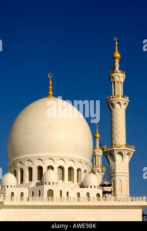 Cupola e minareto, Sheikh Zayed Bin Sultan Al Nahyan Mosque Grande Moschea, Abu Dhabi, Emirati Arabi Uniti Foto Stock