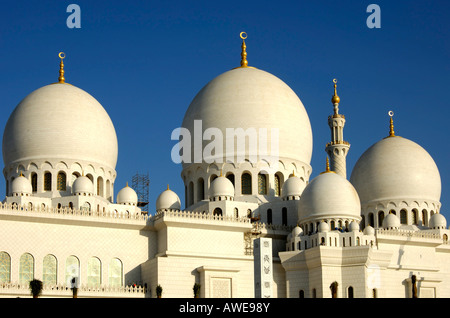 Le cupole principale di Sheikh Zayed Bin Sultan Al Nahyan Mosque Grande Moschea, Abu Dhabi, Emirati Arabi Uniti Foto Stock